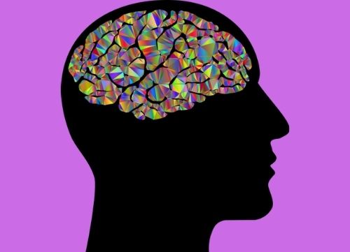best supplements for your brain