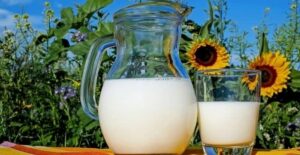 mare's milk