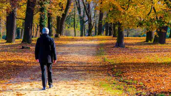 how fall nature walks can help with anxiety