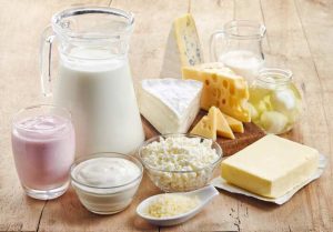 camel dairy products