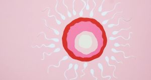 nutritional tips for men when TTC